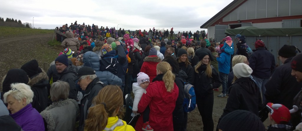 Uppskattningsvis 1.500 hade kommit för att se kosläppet.