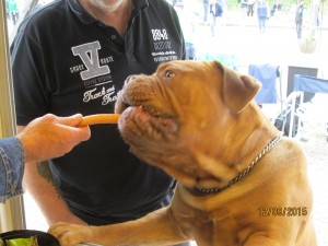 IMG_1102